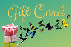 Insect Designs gift card