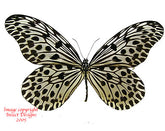 Idea stolli (Java) A-