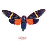 Tosena paviei (Thailand)